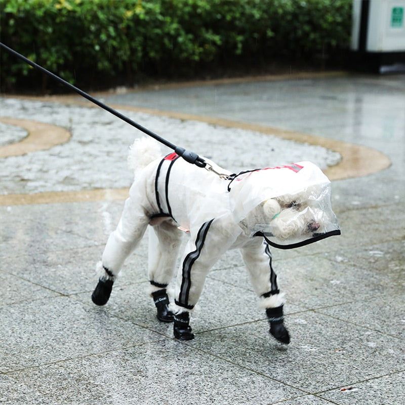 Impermeable Transparente Ligero para Perros Pequeños y Grandes