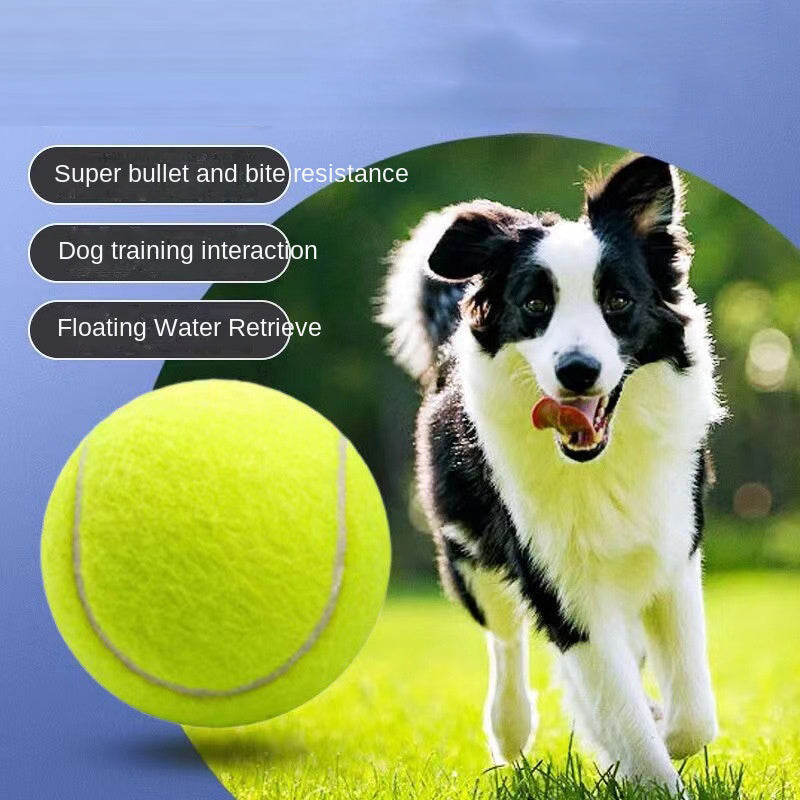 Pelota de Tenis de Goma para Perros - Juguete Resistente