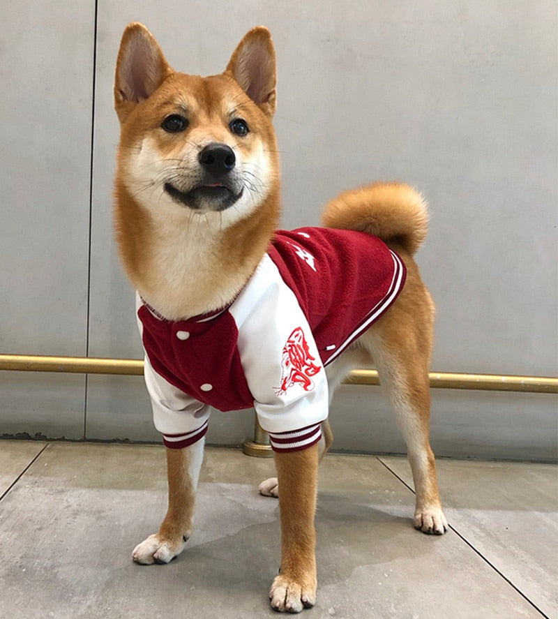 Suéter Universitario Estilo Coreano para Perros