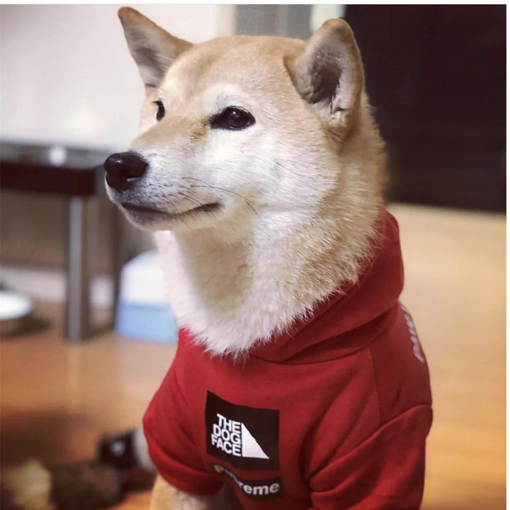 Sudadera con Capucha para Perros Pequeños – Estilo Deportivo Retro