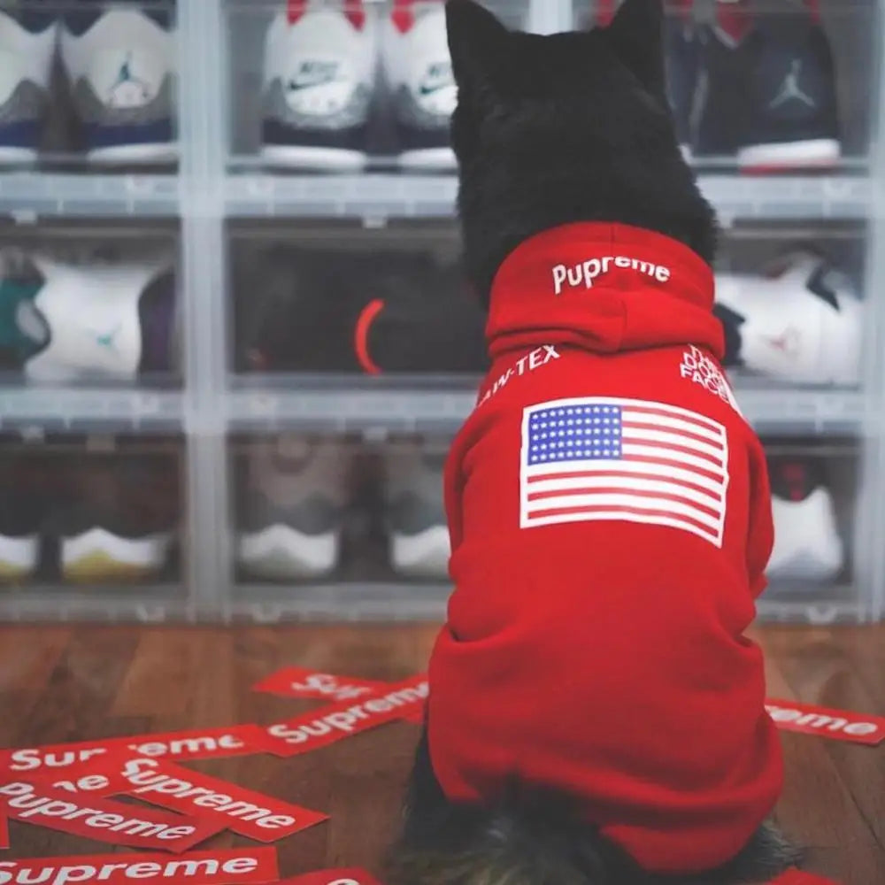 Sudadera con Capucha para Perros Pequeños – Estilo Deportivo Retro