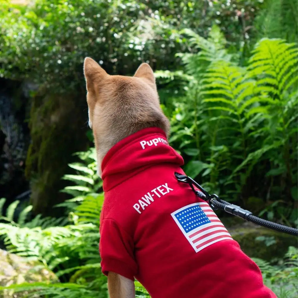 Sudadera con Capucha para Perros Pequeños – Estilo Deportivo Retro