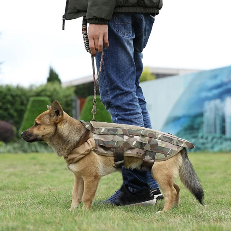 Correa Táctica de Entrenamiento para Perros