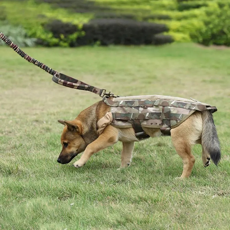 Correa Táctica de Entrenamiento para Perros