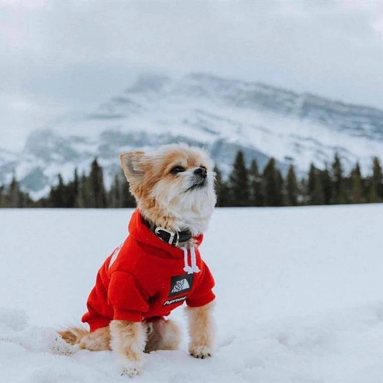 Sudadera con Capucha para Perros Pequeños – Estilo Deportivo Retro